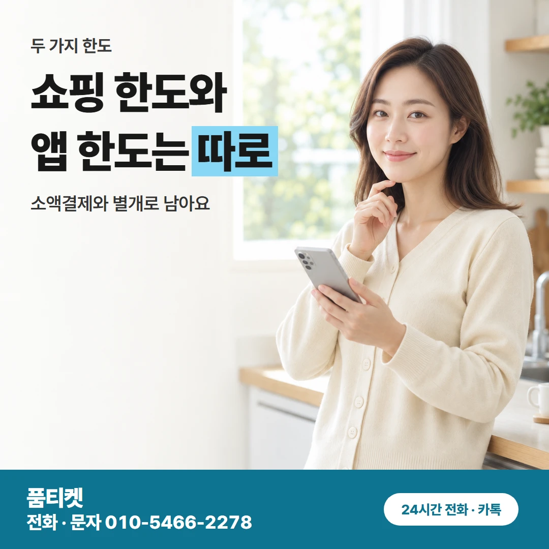 한도 조회와 별개 한도